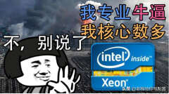 intel至强系列怎么样（至强系列cpu性价比最高）