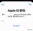 id账号忘记了怎么找回（Apple ID重置密码）