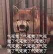 电脑cpu占用过高怎么办（4招就能解决了）