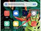 浏览记录删除了怎么恢复（这样轻松找到）