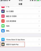 苹果11有nfc功能吗（苹果手机nfc功能开启教程）