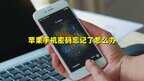 iphone忘记密码了怎么开锁（解手机密码简单操作方法）