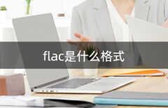 flac是什么格式（音频文件FLAC文件格式的介绍）