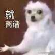 手机开不开机怎么回事（手机无法开机的原因）