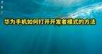 开发者模式怎么打开华为（打开开发者模式操作方法）