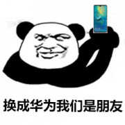 华为怎么查询序列号（华为手机查询序列号的方法）