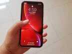 苹果xr属于什么档次（iPhone XR性能分析）