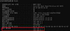 DNS是什么意思（网络DNS介绍）