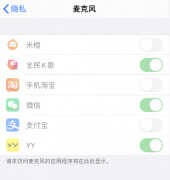 苹果手机麦克风启用不成功怎么弄（iPhone 无法为应用开启麦克风处理方法）