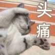 显卡型号数字都代表什么（从显卡型号分辨显卡性能）