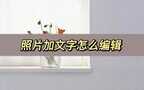 怎样在图片上加上文字（在图片上编辑文字方法汇总）