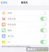 苹果麦克风权限没有app列表（iPhone开启麦克风权限方法介绍）