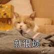 雷蛇键盘失灵怎么设置（键盘容易失灵解决方法）