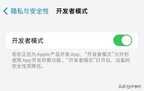 苹果手机开发者选项在哪里（iPhone开启开发者模式的方法）