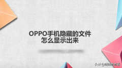 oppo手机设为私密照片找不到（OPPO手机隐藏的文件显示出来方法）