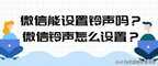 微信红包提示音在哪里设置（设置微信红包提示音的方法）