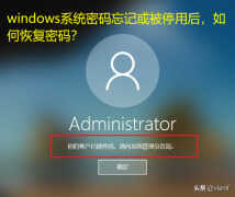 微软账号登录不上怎么找回密码（windows登录密码忘记了找回方法）