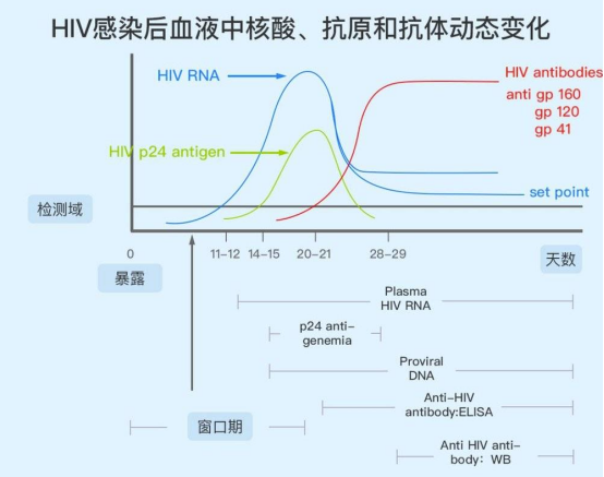 恐艾最纠结的话题，艾滋病窗口期多久